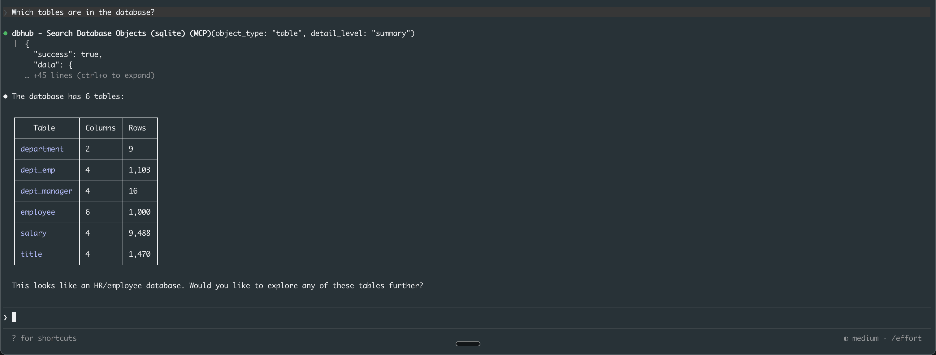 Fig: Successful test query of the installed DBHub MCP server using Claude Desktop