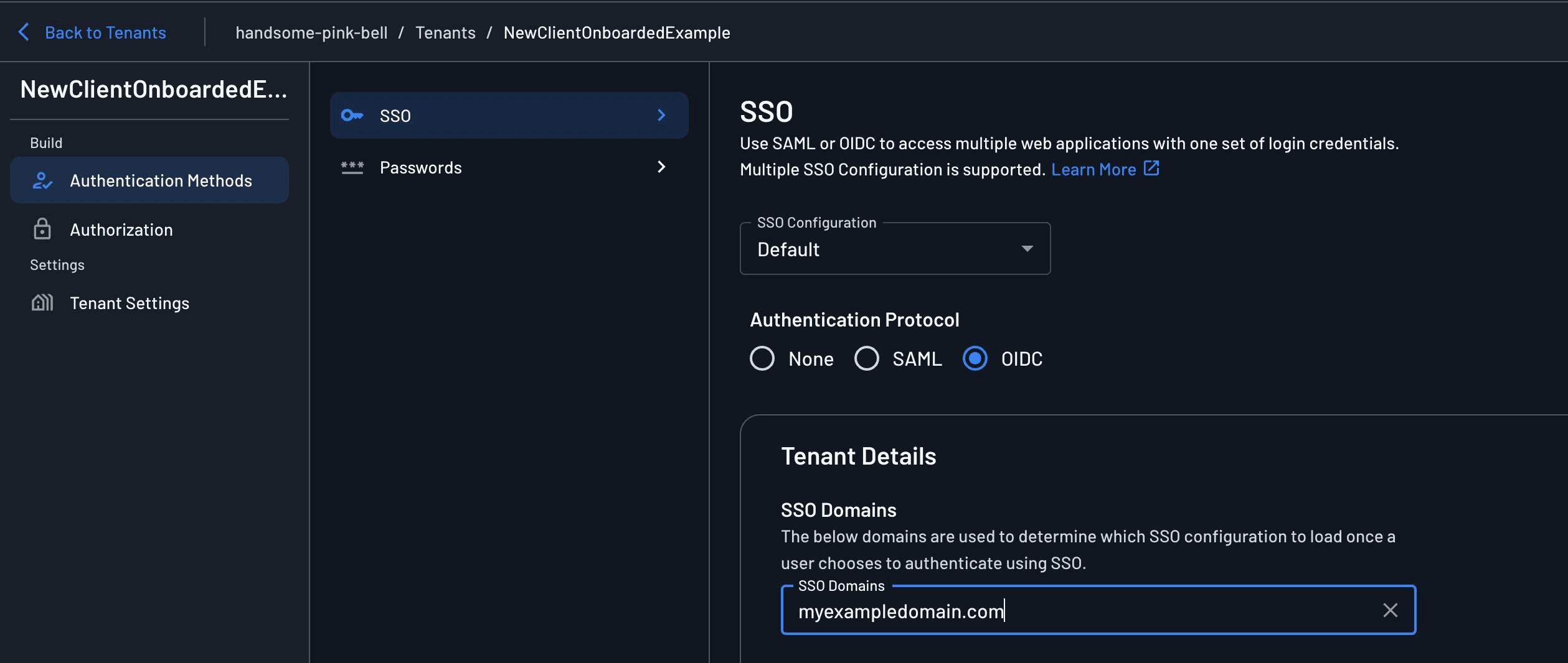 Fig: Screenshot of the SSO page for the newly created tenant in Descope