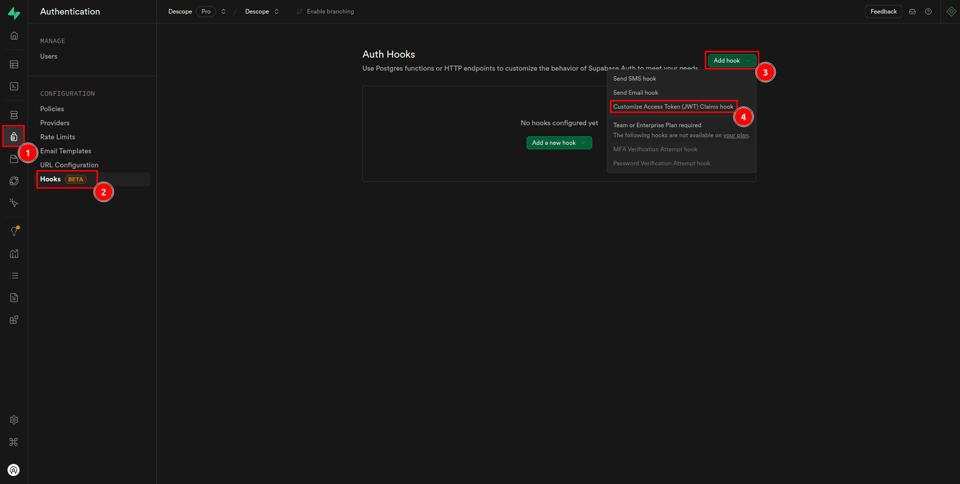 Enabling a custom auth hook