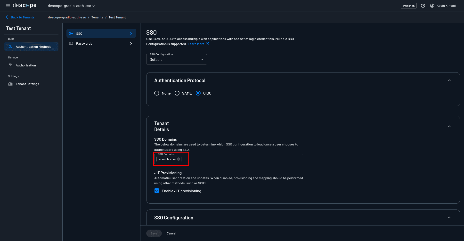 Fig: Setting the SSO domain