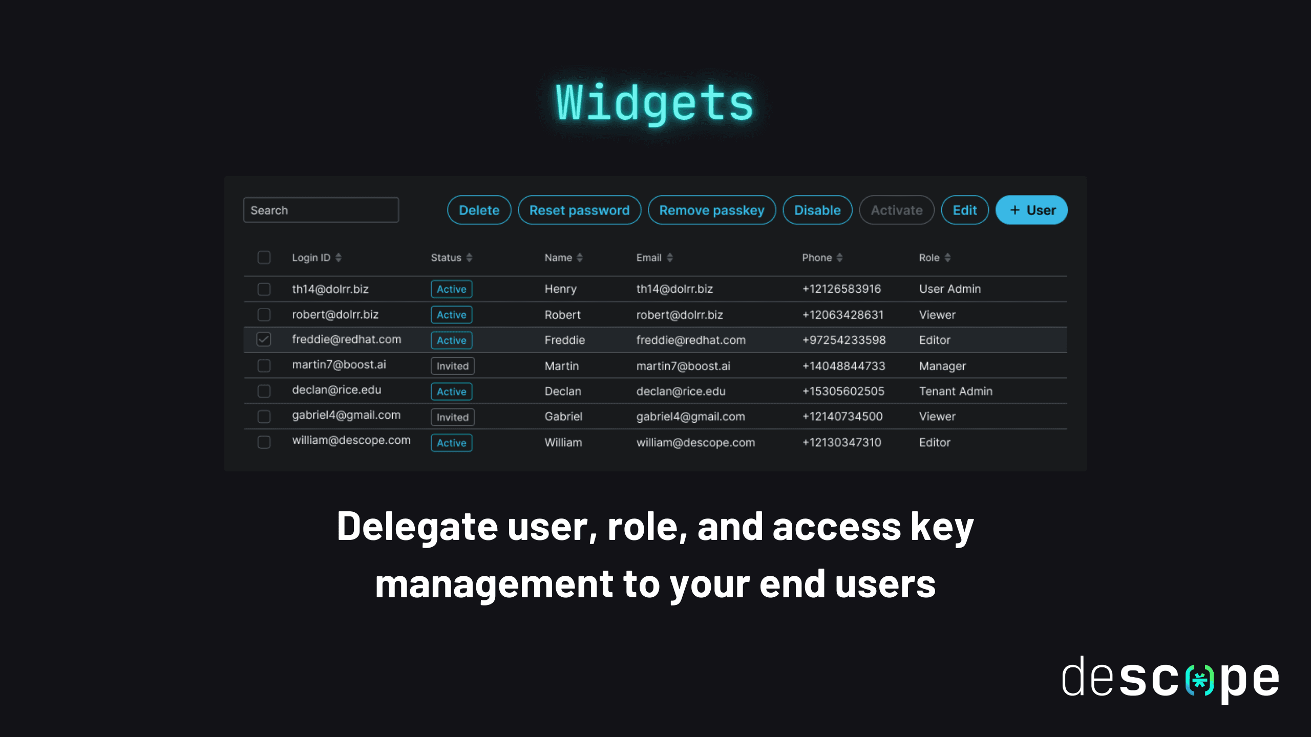 Descope Widgets Static Thumbnail