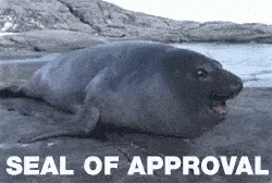 seal-approval-min