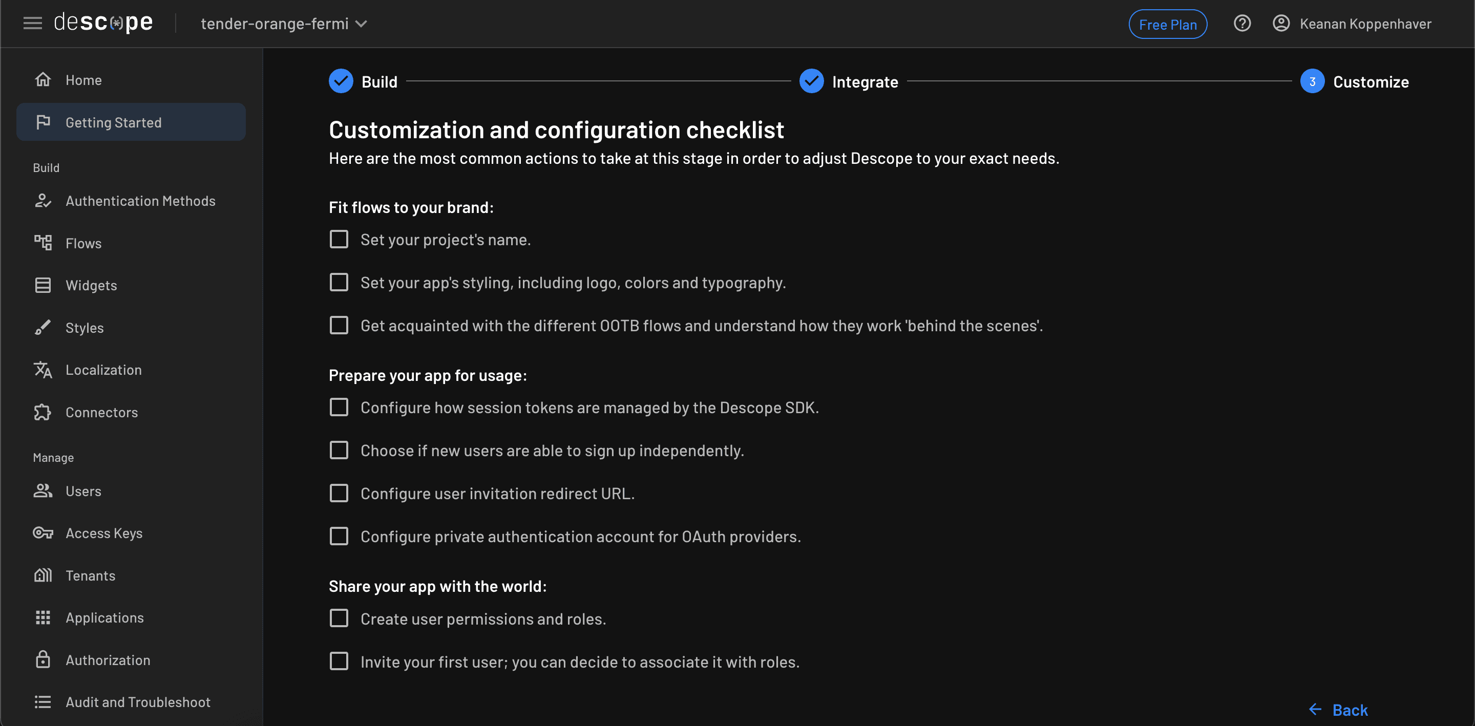 Fig: Customization options inside Descope
