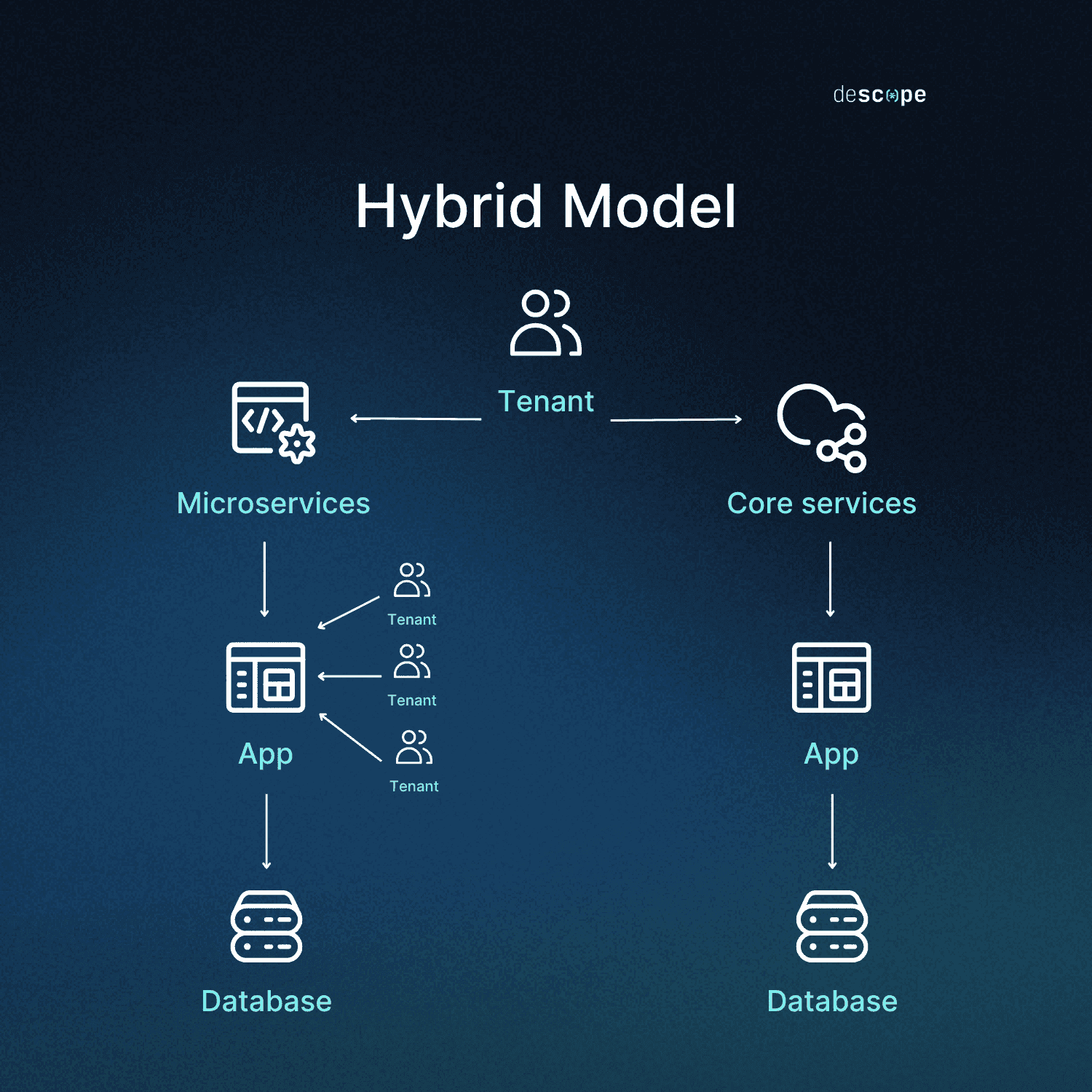 Fig: A diagram of a hybrid tenant configuration